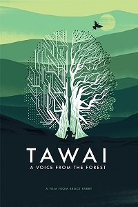 Таваи: голос, идущий из леса
