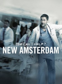 Новый Амстердам