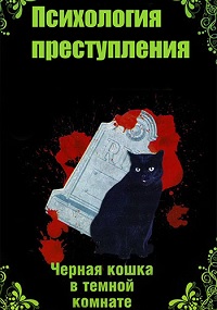 Психология преступления. Чёрная кошка в тёмной комнате (сериал 2021)